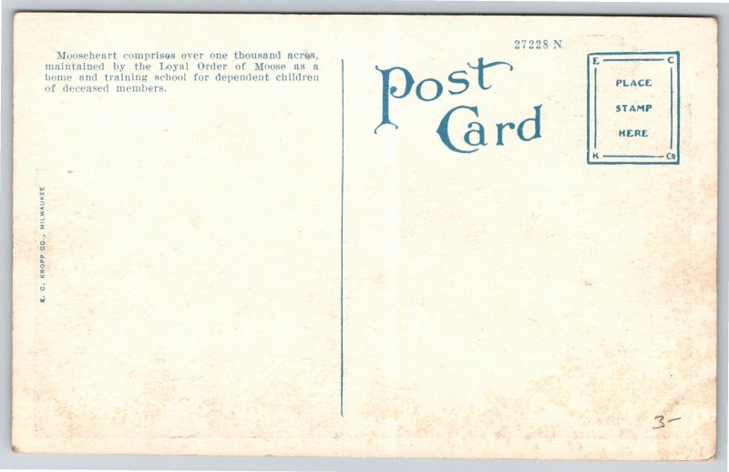 Mooseheart IL~Home For Children By Loyal Order Of Moose Lodge~Lake & Dam~Vtg PC