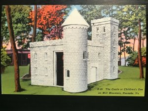 Vintage Postcard 1930-1945 Castle Children's Zoo Mill Mountain Roanoke Virginia