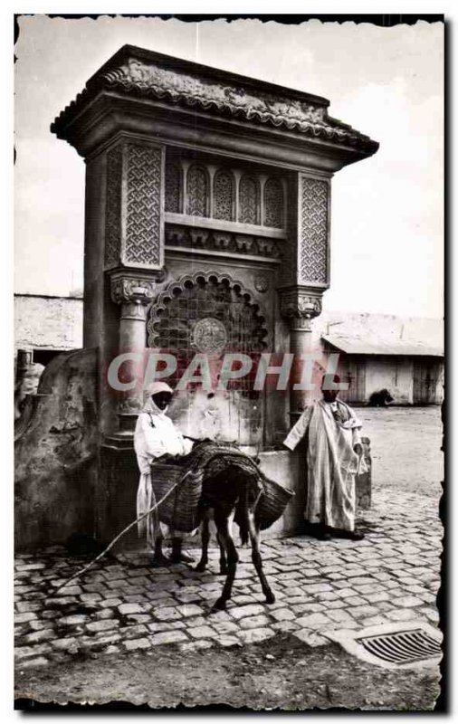 Morocco Old Postcard Scenes Types A Fountain Donkey Donkey