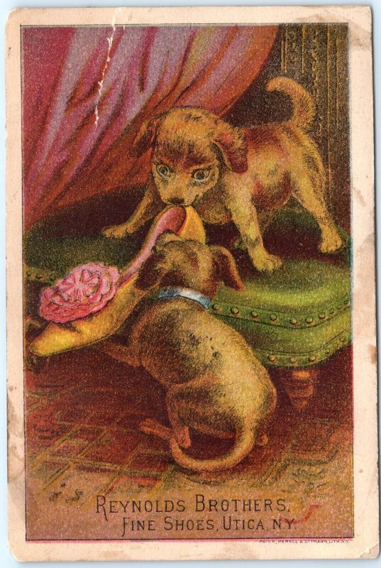 c1880s Chicago Cute Puppy Dogs Reynolds Brothers Shoes J.N Carter Trade Card C43