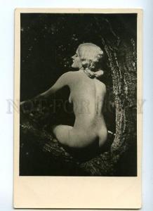 3128948 NUDE Woman WITCH on Tree Vintage PHOTO PC