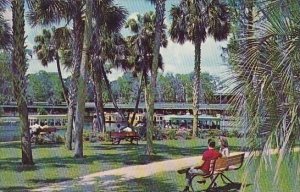 Florida Silver Springs A Beautiful 100 Acre Landscaped Park Borders The Main ...