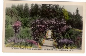 A Rose Walk, Butchart`s Gardens, Victoria, British Columbia, Tinted Photo