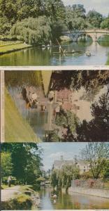 Clare College Bridge Vivien St Johns Cambridge 3x Rowing Boat 1970s Postcard