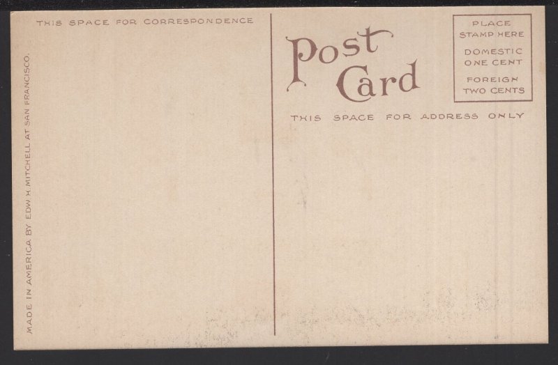 Washington SEATTLE Interior St. James Cathedral Pub by Edw H Mitchell ~ DB