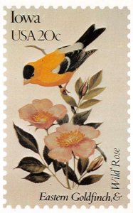 EASTERN GOLDFINCH & WILD ROSE BIRD FLOWER IOWA STAMP ANDREWS CACHET POSTCARD