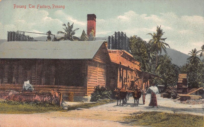 L227 Malaysia Penang Tee Factory vintage postcard