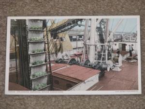 Unloading Bananas (Steam Conveyors), Photostint Card, unused