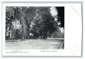 c1905 Delhi NY, Lower Main Street, The Garden Of The Catskills Antique Postcard