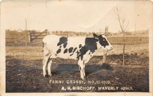 J31/ Waverly Iowa RPPC Postcard c1910 Fanny Crosby Cow Bischoff Farm 279