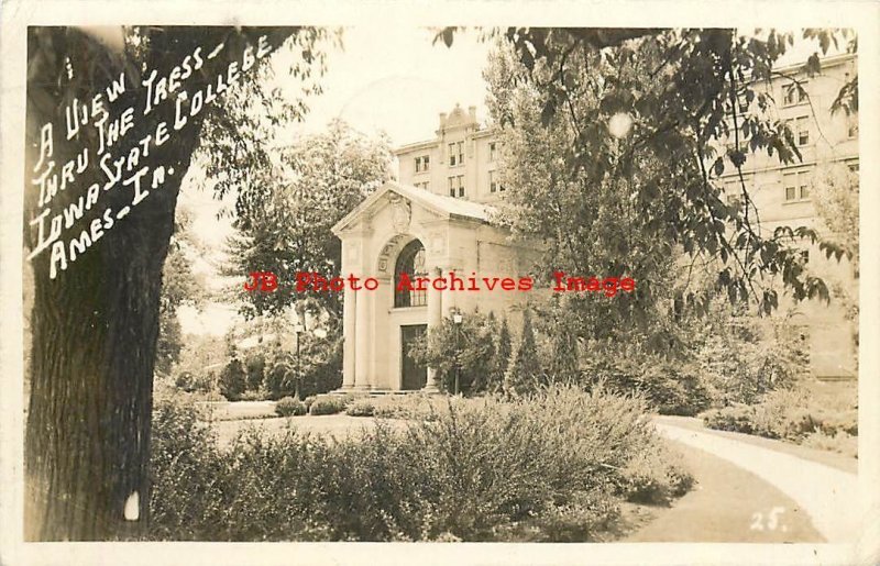 8 Postcards, Ames Iowa, RPPC, Various Scenes, Photo