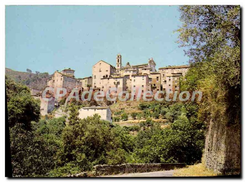 Old Postcard Partial Vescovato