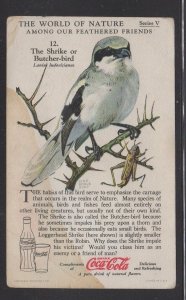 USA- CocaCola Wonderful World of Nature Series V #12 Shrike or Butcher Bird