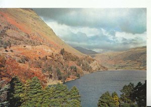 Wales Postcard - Llyn Gwynant - Caernarvonshire - Ref TZ8692