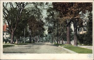 Northampton Massachusetts MA Elm Street 11035 Detroit Publishing c1910 Postcard