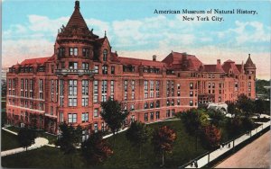 American Museum of Natural History New York City Vintage Postcard C197