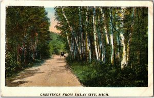 Scenic Drive, Greetings from Imlay City MI c1933 Vintage Postcard B50
