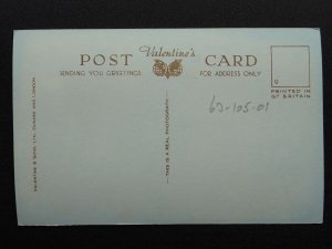 Birds of the Farne Islands PINNACLE ROCKS c1930s RP Postcard by Valentine