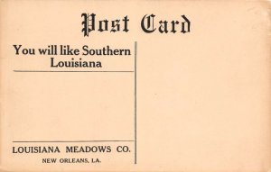 New Orleans Louisiana Threshing Rice In Field Louisiana Meadows Co. PC U4974