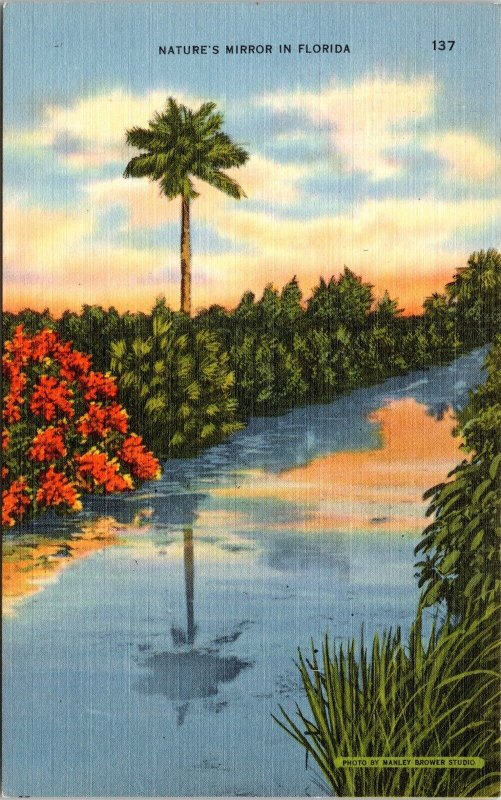 Natures Mirror Florida Scenic Tropical Landscape Linen Cancel WOB Postcard 