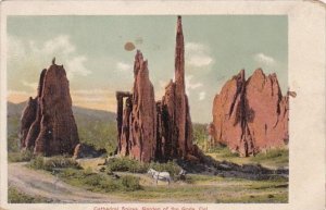 Colorado Cathedral Spires Garden Of The Gods