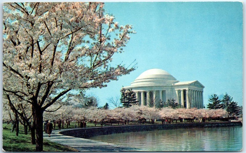 M-59069 The Jefferson Memorial At Cherry Blossom Time Washington D C