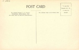 Canada C-1910 Sheep Ranching Pacific Railroad Montreal Import Postcard 24-9087