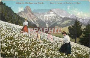 Old Postcard Field of Daffodils in Avants Teeth Jaman and Rochers de Naye