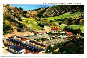 CATALINA ISLAND CA - Bird Park