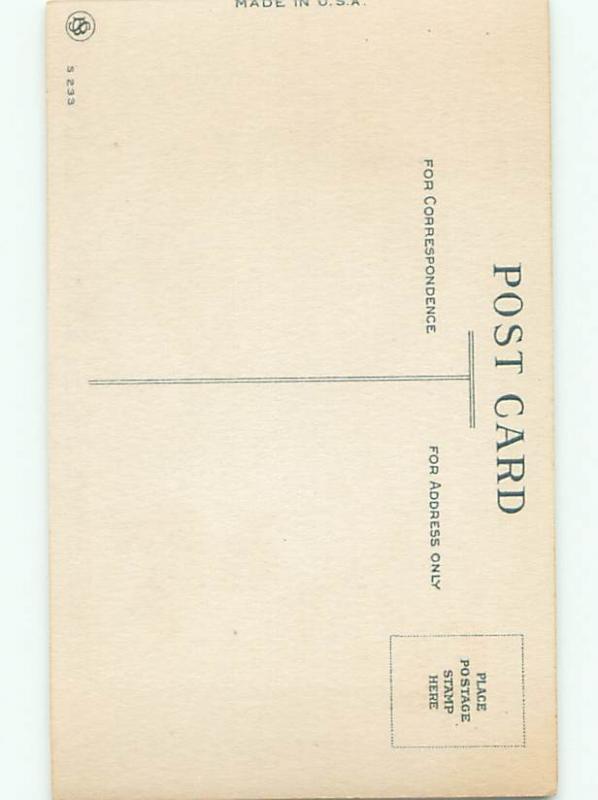 Very Old Foreign Postcard BEAUTIFUL FLOWERS SCENE AA5055