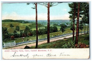c1905 View Of Country Farm Cairo Catskill Mountain New York NY Antique Postcard 