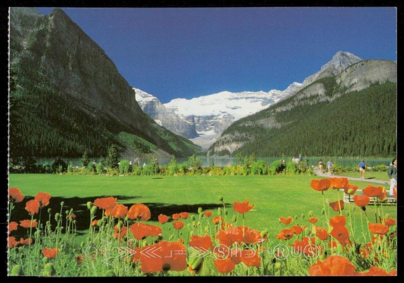 Lake Louise & Poppies