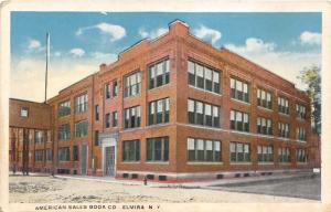 Elmira New York~American Sales Book Co Corner View~Skywalk~1920s Postcard