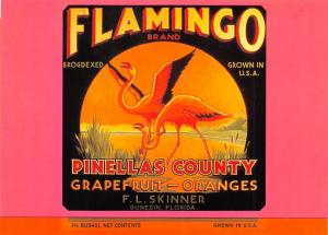 Pinellas County, Dunedin, Florida - Flamingo Brand