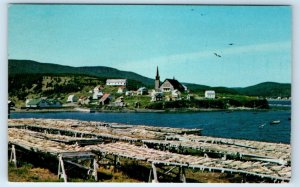 La Gaspesie CLORIDORME P.Q. CANADA 1964 Postcard