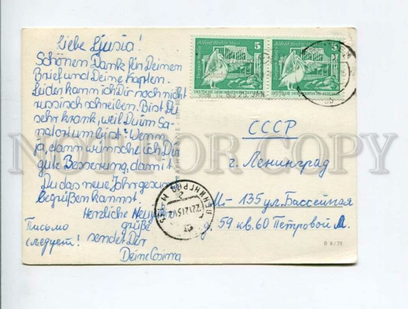 3022224 EAST GERMANY GDR Smoking GNOME old RPPC