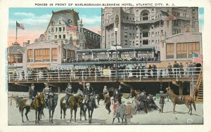 Postcard New Jersey Atlantic Ponies Marlborough Blenheim Hotel Sithens 23-7220