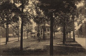 Cambridge Springs Pennsylvania PA Park Pavilion c1900s-20s Postcard
