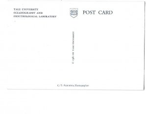 Yale University Oceanography and Ornithological Laboratory New Haven Connecticut