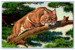 Milwaukee Wisconsin WI Postcard Bobcat Lynx Rufus Mountain Forest 1977 Vintage