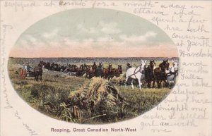 Farmers With Horses Reaping Hay In The Great Canadian Northwest 1907