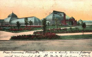 Vintage Postcard 1908 Phipps Conservatory Landscape Pittsburgh Pennsylvania PA