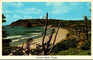 Oregon Cannon Beach View Of Haystack Rock