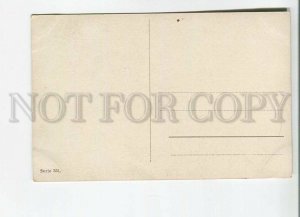 482105 MULLER Mueller HUNT Winter FOX pheasant Vintage postcard #351