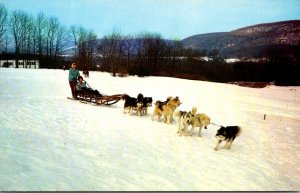 Massachusetts Berkshires Lenox Eastover Dogsled Transportation
