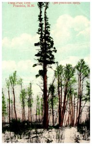 New Hampshire  Franklin Twin Pine Tree