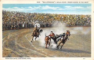  Bulldogging  Rodeo Scene in the West Cheyenne, Wyoming USA