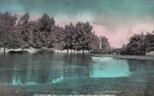 Vintage Postcard 1909 Scene on Howard Park Lake Trees South Bend Indiana IN