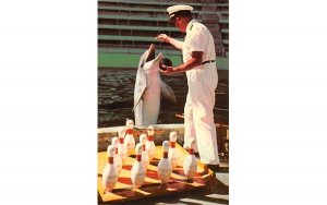 Flippy ready to bowl, Fabulous Miami Seaquarium Florida