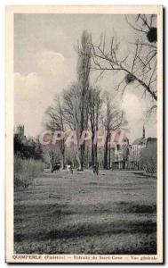 Old Postcard Quimperle Sacred Heart Retreat General view Cows